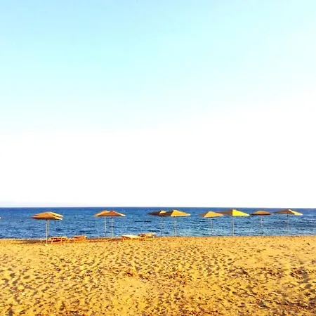 Apartment Attico Micale 500 Meters From The Beach